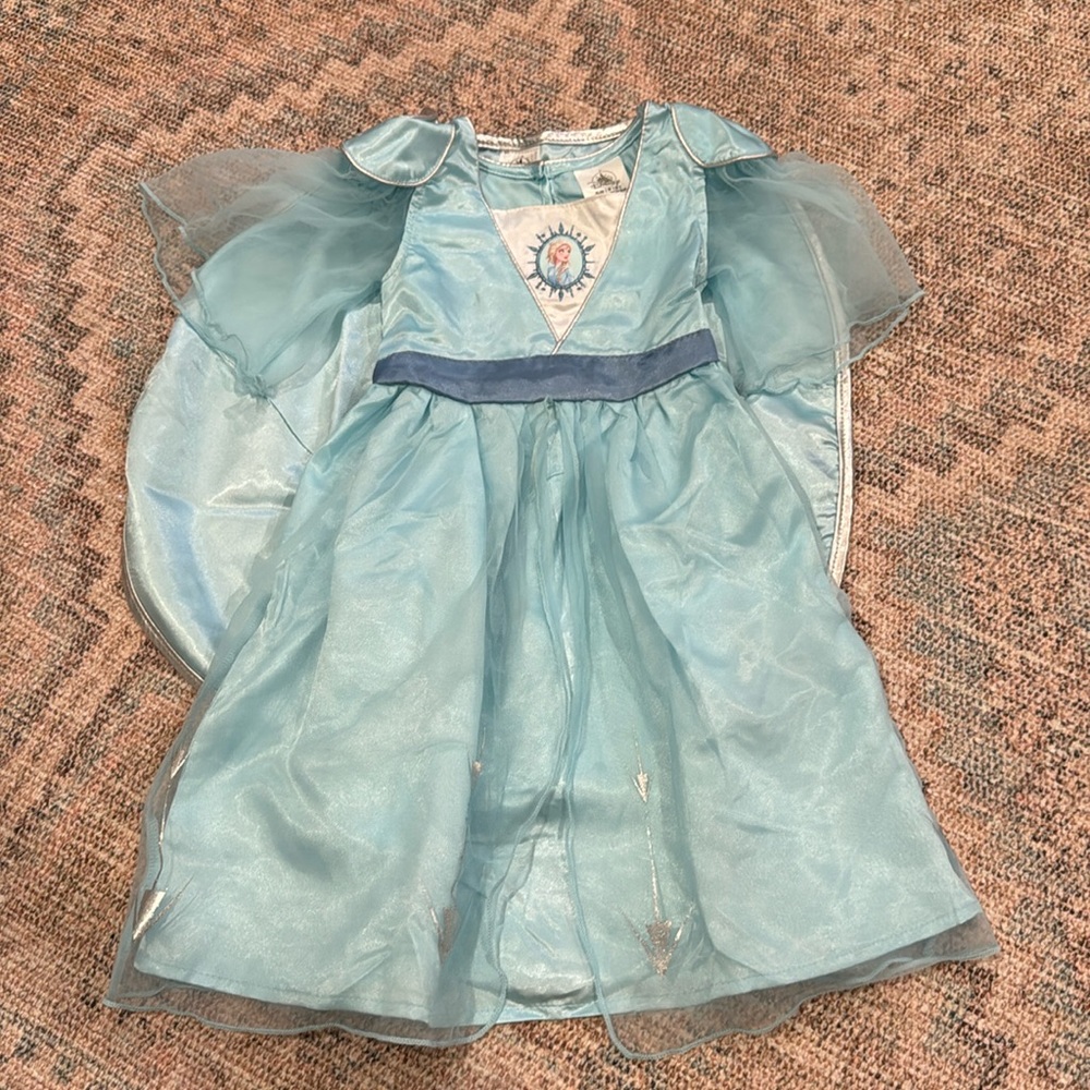 Frozen’s Elsa Dress from Parks 2